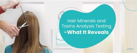 laboratory hair analysis|hair analysis testing for toxins.